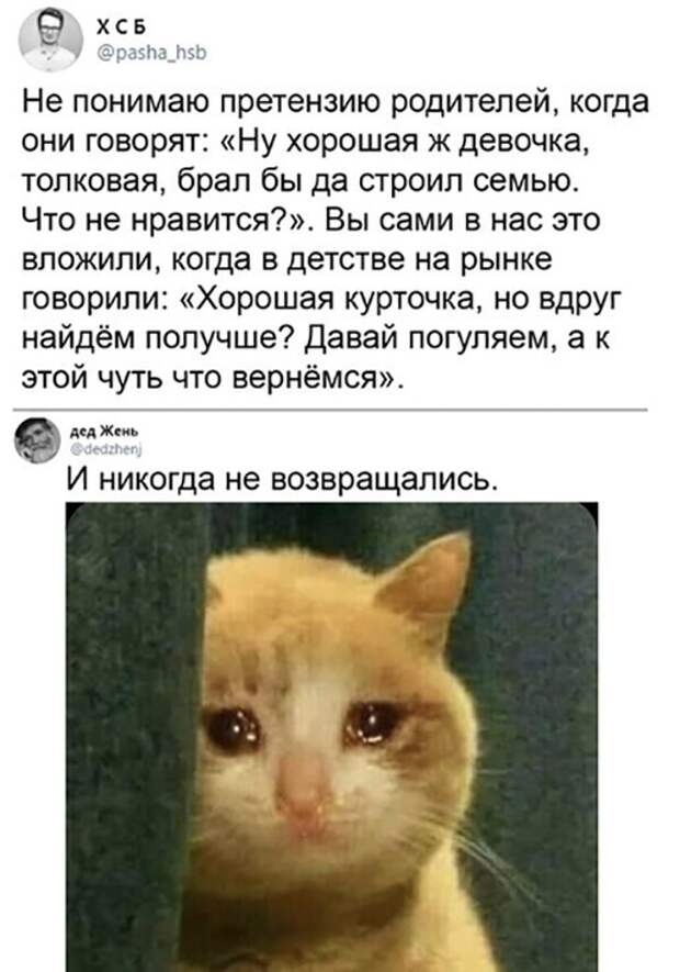 Прикольные и смешные картинки