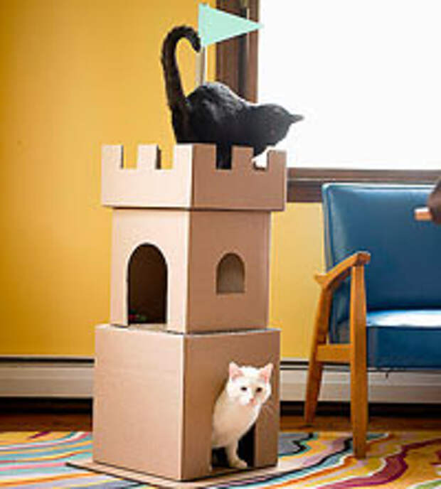 2. Картонный котозамок для животных, животные, игрушки, коты, своими руками, сделай сам