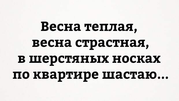 Веселые картинки с надписью со смыслом (12 фото) Веселые картинки с надписью со смыслом (12 фото)