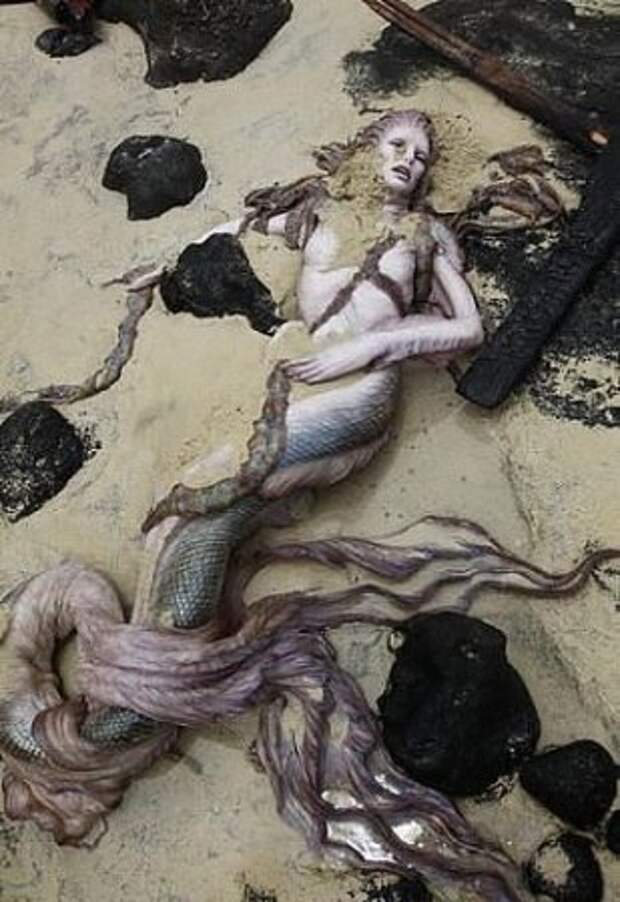 На берегу Средиземного моря нашли русалку, On the shores of the Mediterranean have found a mermaid