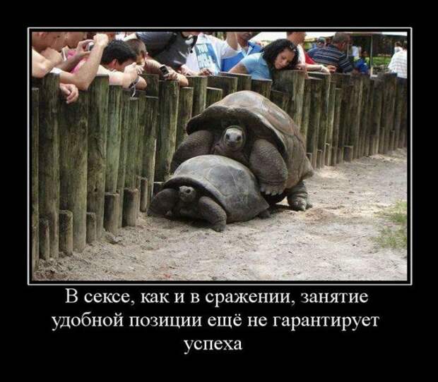 Сборник демотивационных приколов Сборник демотивационных приколов