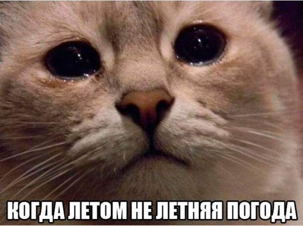 Прикольные картинки (97 фото)