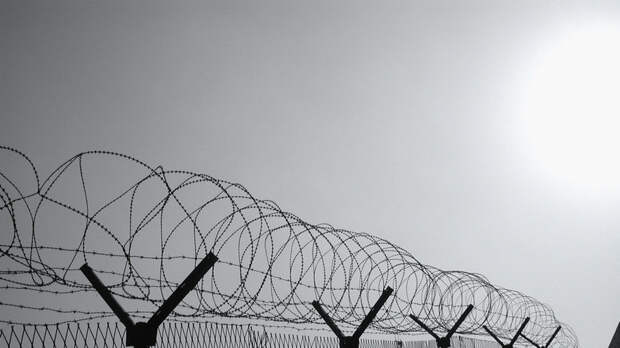 В России число заключённых в СИЗО и колониях достигло исторического минимума