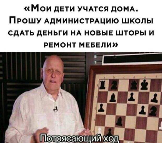 На изображении может находиться: 1 человек, текст «<мои дети учатся дома. прошу администрацию школы сдать деньги на новые шторы и ремонт мебели>> 1 потрясающий ход»
