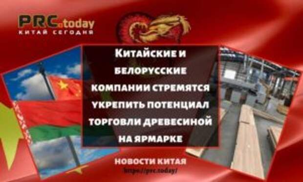 Китайские и белорусские компании стремятся укрепить потенциал торговли древесиной на ярмарке