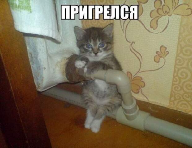 Картинки со смешными подписями