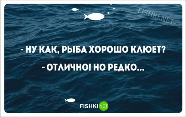 20 забавных открыток о рыбалке  открытки, рыбалка