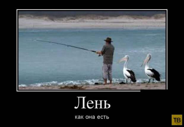 Подборка демотиваторов 15.07.2014 г (32 фото)