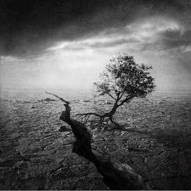 Сюрреалистические фотографии Шарлоты Бан (15)