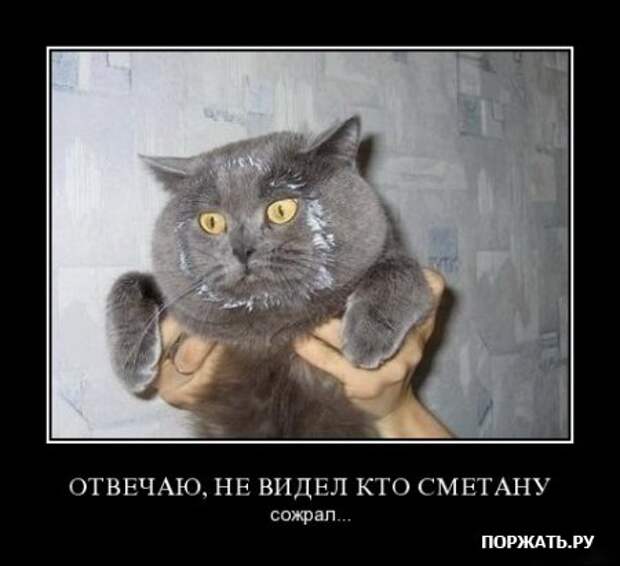 Демы прикольные у нас таких на сайте много.