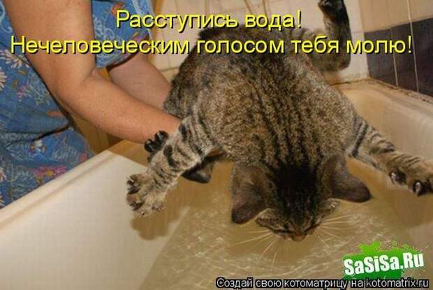Мысли вслух :)
