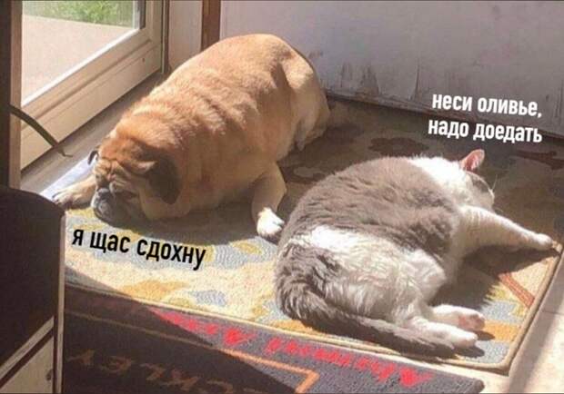 Доедаем салаты Доедаем салаты