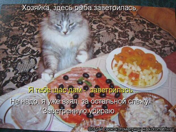 Котоматрица - Хозяйка, здесь рыба заветрилась, Не надо, я уже взял, за остальной сле