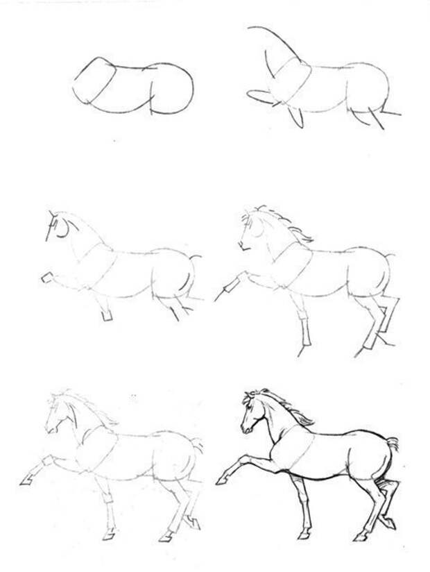 Нарисовать лошадь по этапно