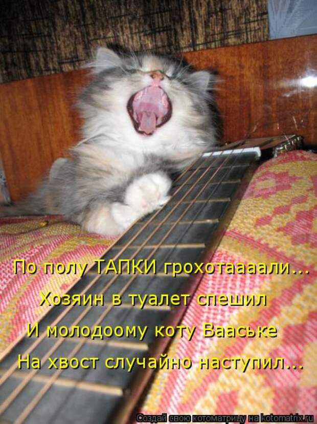 Подборка прикольных котоматриц