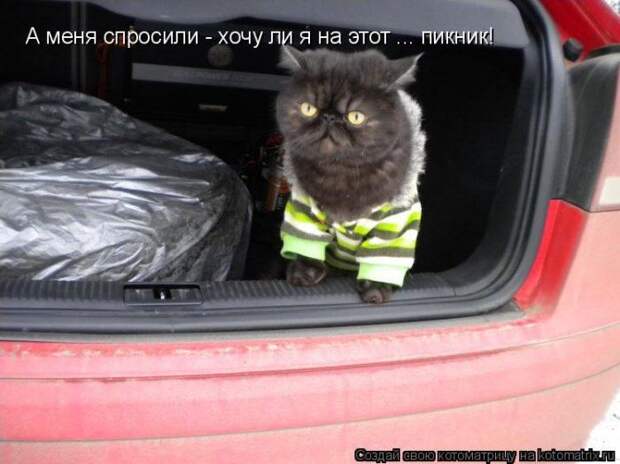 Мысли вслух :)