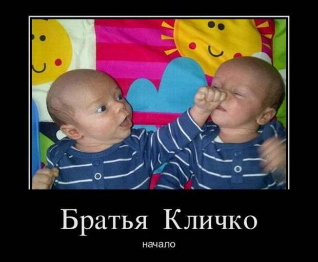 Демотиваторы " 101 %" 24/01/12