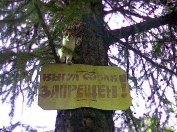 Не влезай - убьёт! 13