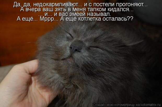 Мысли вслух :)