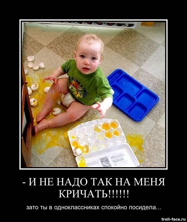 Демотиваторы катинки, прикол, смешно
