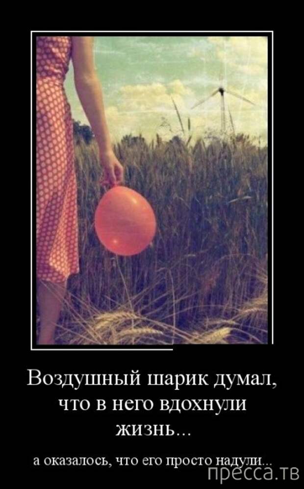 Подборка демотиваторов 17. 07. 2014 г. (30 фото)