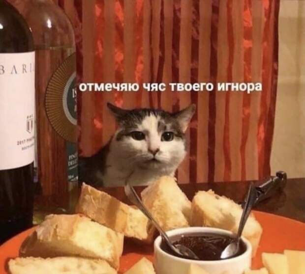 Лучшие шутки и мемы из Сети