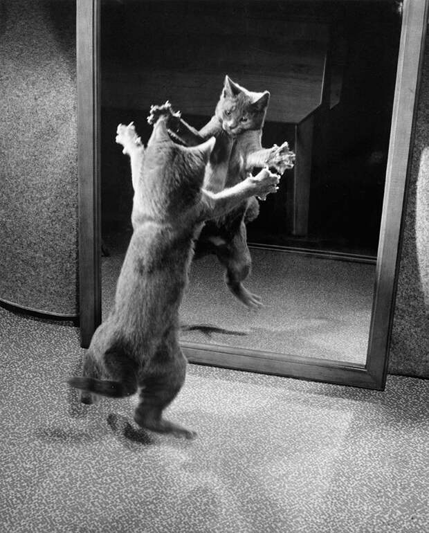 25 неопубликованных фотографий из архивов National Geographic