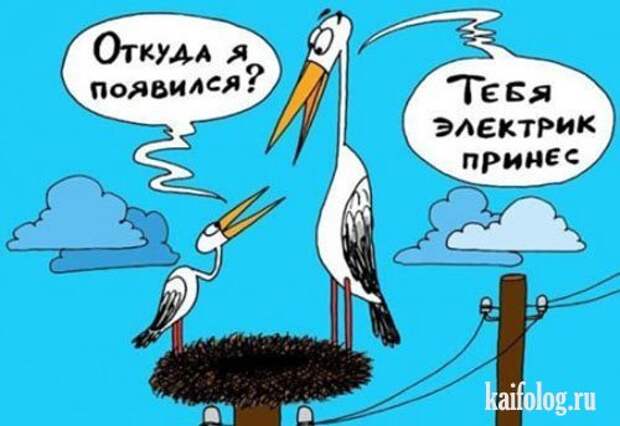 Прикольные карикатуры и картинки (60 картинок)