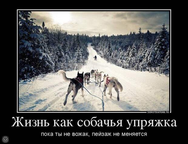 У каждого своя Олимпиада 23
