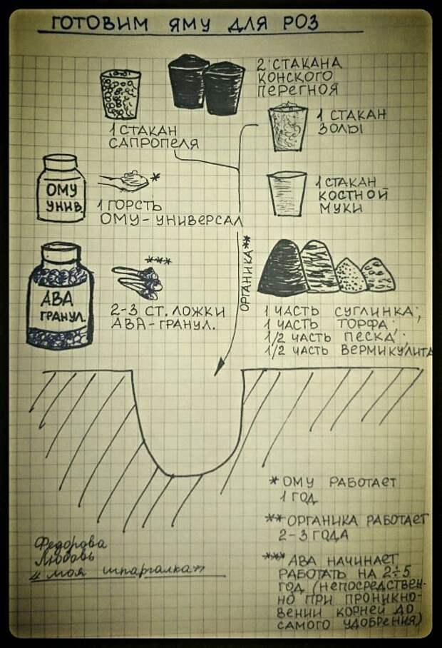 Все что нужно для посадки роз Все что нужно для посадки роз
