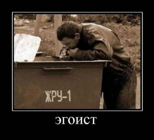 Классные картинки, собраные в демотиваторы!