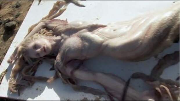 На берегу Средиземного моря нашли русалку, On the shores of the Mediterranean have found a mermaid