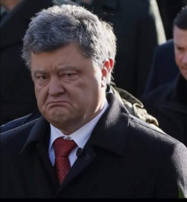 Два фото, сделавшие мой день