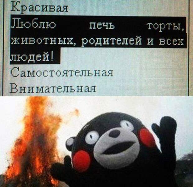 Картинки со смешными подписями картинки, прикол, юмор