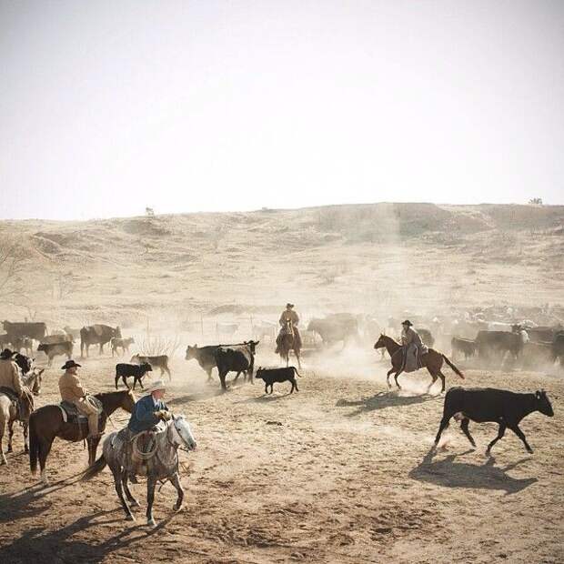 Лучшие фотографии от National Geographic