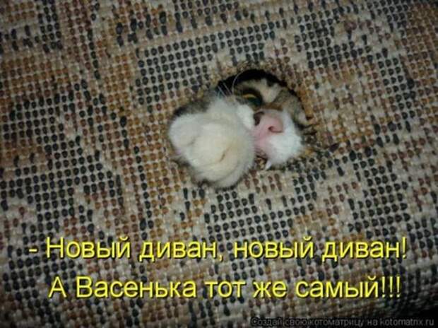 9eda01d1438834ecf273e27fcc9_prev