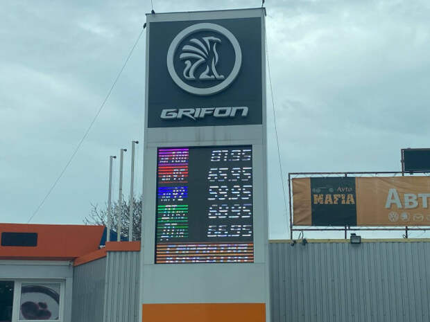 Источник: архив «ИНФОРМЕРа» грифон