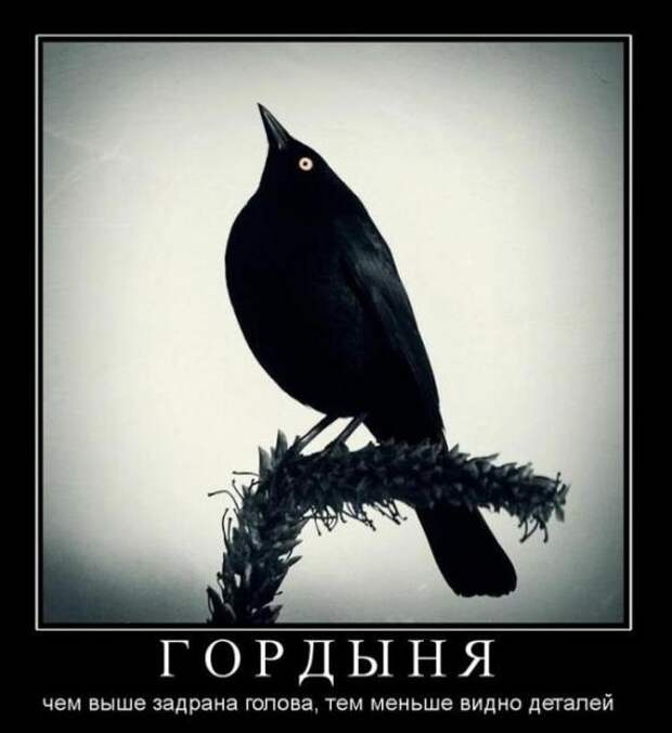 Подборка новых демотиваторов)