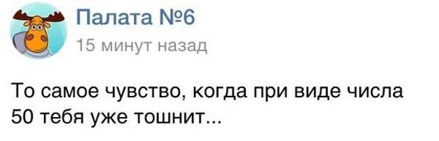 Смешные приколы, или как «50 оттенков серого» повергли мир в безумие 50 оттенков серого, мем, приколы