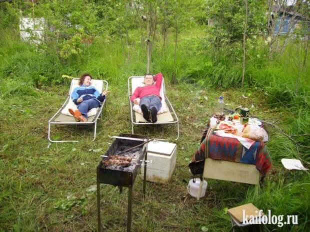 Дачные приколы (55 фото)