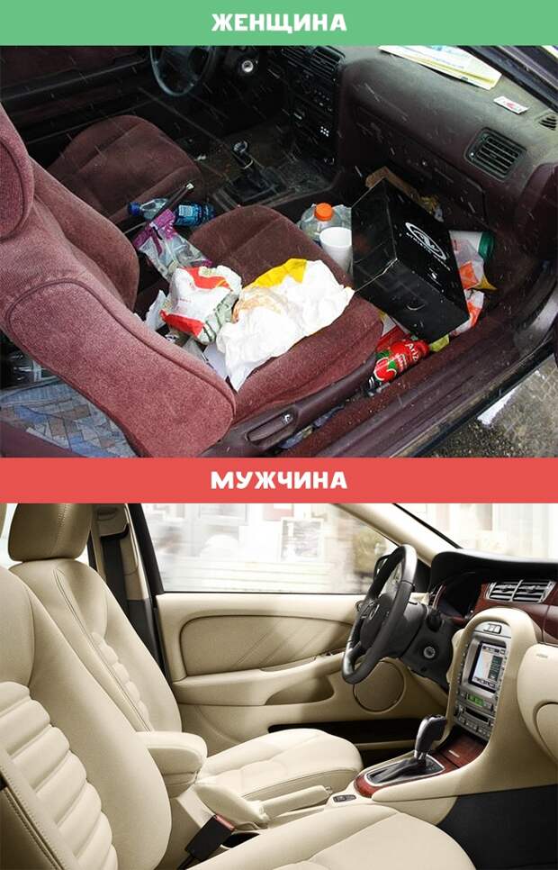 10 отличий женщин от мужчин