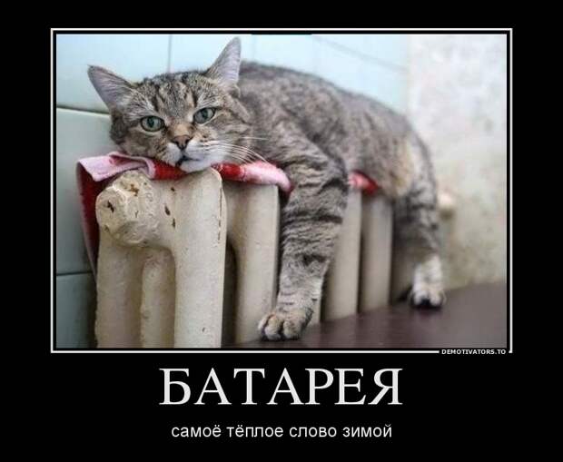 Демотиваторы демотиваторы