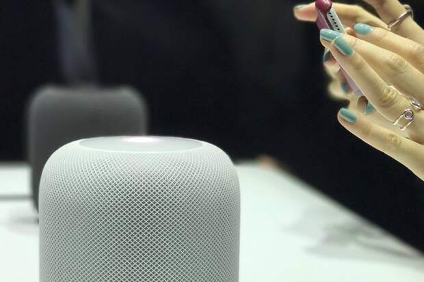 Глава СПЧ Фадеев посоветовал не покупать умные колонки из-за мошенников