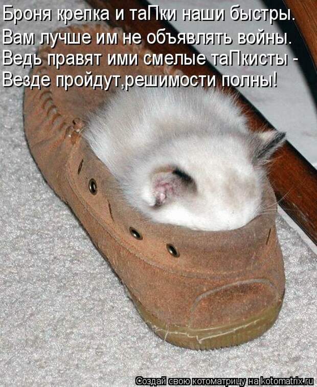 Котоматрица