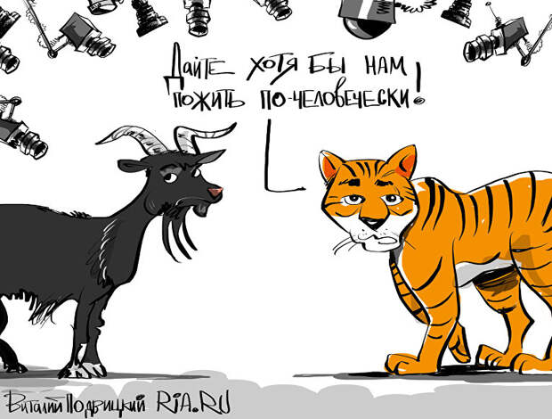 Видео-охота не удалась Видео-охота не удалась