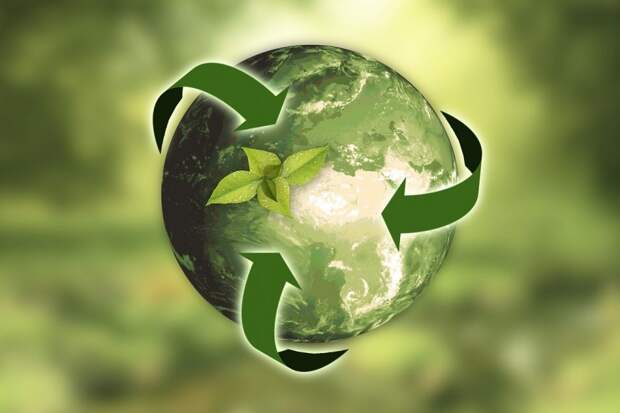 Картинки по запросу Биопластик из растительных отходов