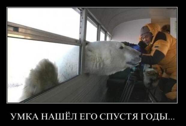 Самые смешные демотиваторы только у нас!