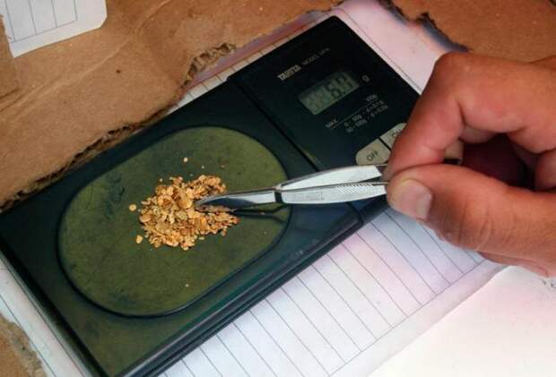 Золото (37 фото) Золото (37 фото)