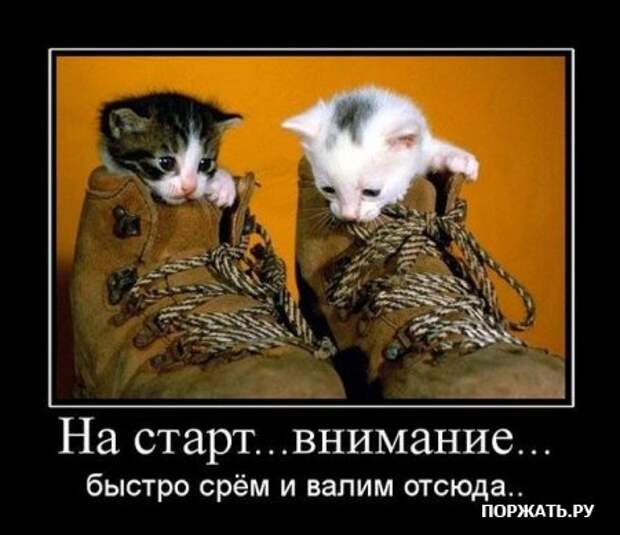 Демотиваторы, истории с приколом.