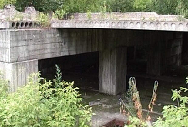 Заброшенный фундамент здания РОВД в Череповце, где нашли тела жертв даниловского маньяка